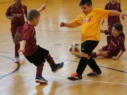 mini-IMG_6930